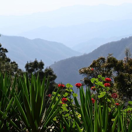 San Jose Del Pacifico- Cabanas Camino Al Cielo 1 エクステリア 写真