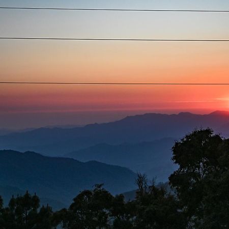 San Jose Del Pacifico- Cabanas Camino Al Cielo 1 エクステリア 写真