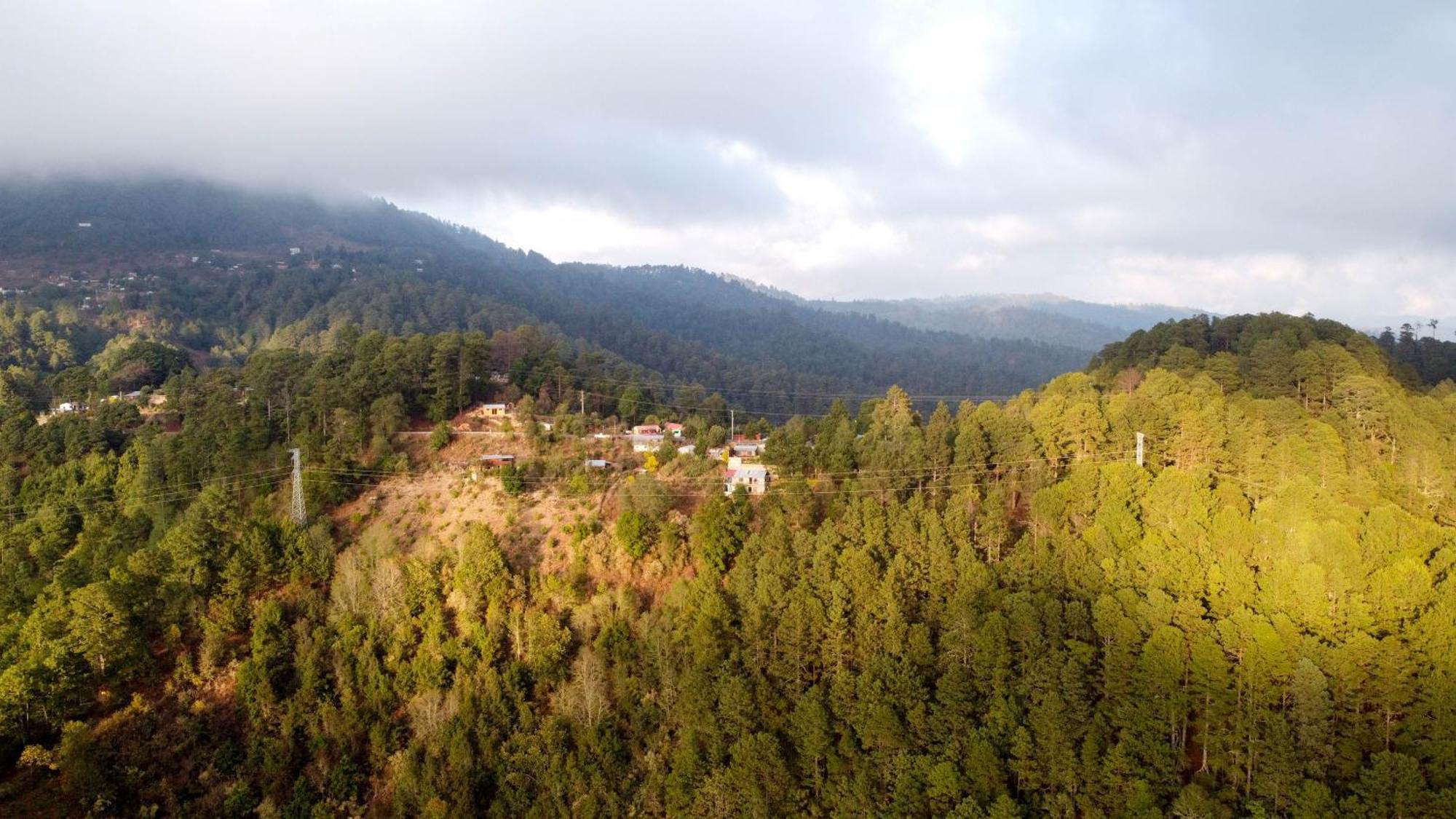 San Jose Del Pacifico- Cabanas Camino Al Cielo 1 エクステリア 写真