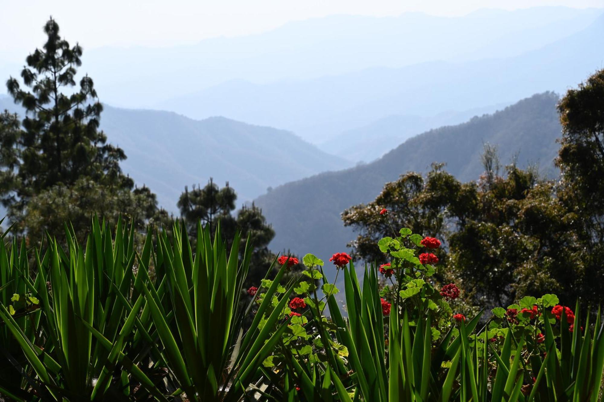 San Jose Del Pacifico- Cabanas Camino Al Cielo 1 エクステリア 写真